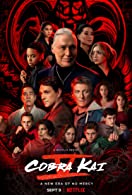 Cobra Kai Season 5 Complete (2022) HDRip  Hindi Dubbed Full Movie Watch Online Free
