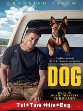 Dog (2022) BluRay  Telugu Dubbed Full Movie Watch Online Free