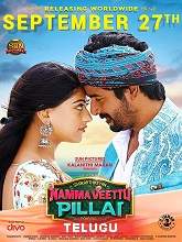 Manasunnodu  (2020) HDRip  [Telugu + Tamil] Full Movie Watch Online Free