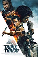 Triple Threat (2019) HDRip  English Full Movie Watch Online Free