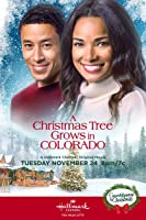A Christmas Tree Grows in Colorado (2020) HDTV  English Full Movie Watch Online Free