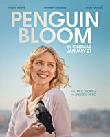 Penguin Bloom (2021) HDCam  English Full Movie Watch Online Free