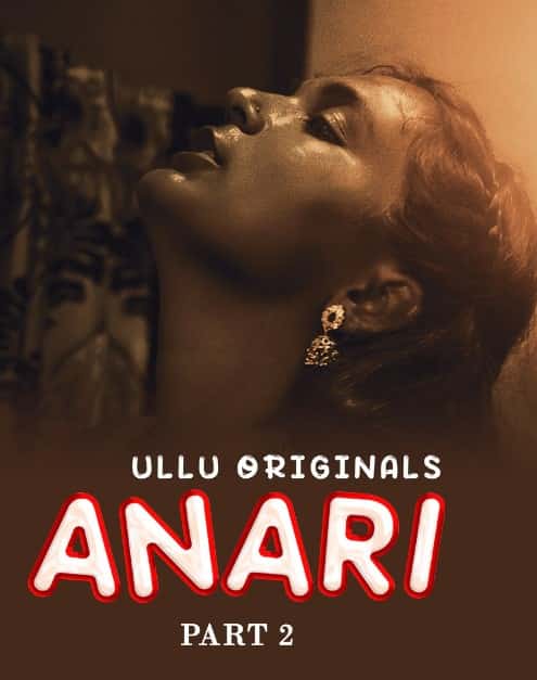 Anari Part 2 (2023) HDRip  Hindi Full Movie Watch Online Free