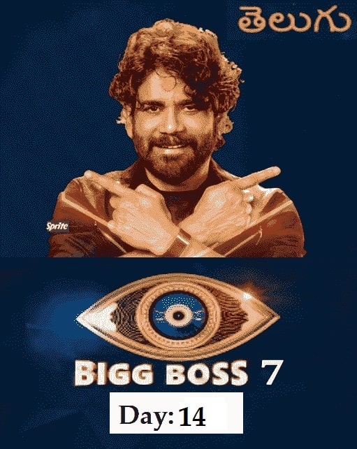 Bigg Boss Season 7 Day – 14 (2023)  Telugu Full Movie