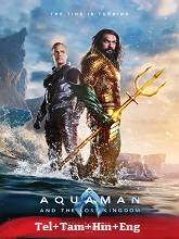 Aquaman and the Lost Kingdom (2023) Telugu Dubbed Full Movie