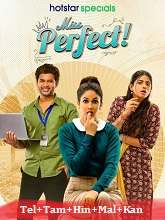 Miss Perfect Season 1 (2024) Telugu Full Movie